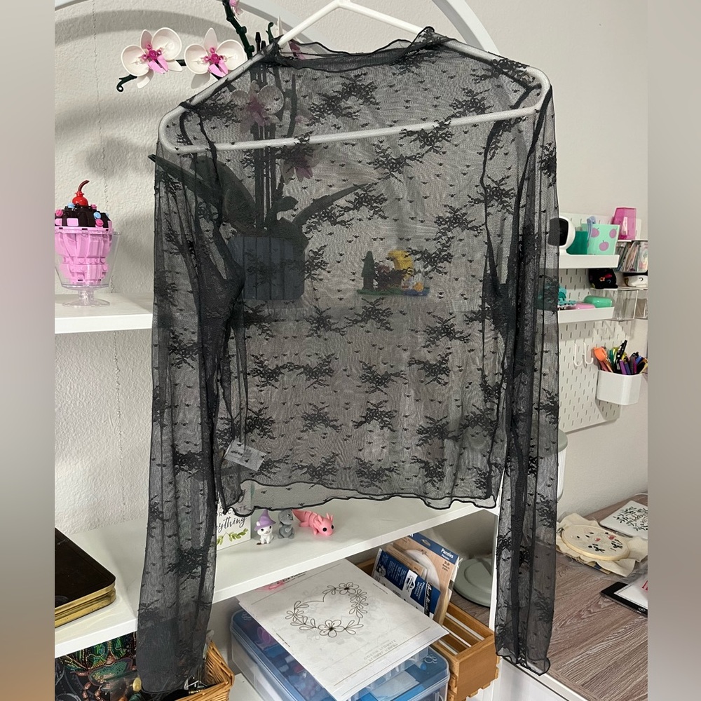 Sheer Black Lace Long Sleeve Top